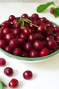 Many ripe red cherries in a white ceramic bowl with a green stripe with a sprig on a light background. Harvesting concept Royalty Free Stock Photo