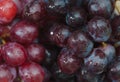 Many ripe red grapes. Macro photo Royalty Free Stock Photo