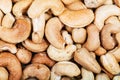 Many roasted cashew nuts