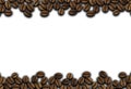 Many roasted coffee beans ornament on a white background illustration
