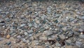 Many rocks close to Atlantic ocean shore