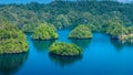 Many Rocks covered by Palmtrees in Passage between Gam and Waigeo, View Point near Warikaf Homestay. West Papuan, Raja