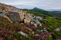 Many of rocks. Majestic Carpathian mountains. Beautiful landscape. Breathtaking view Royalty Free Stock Photo