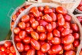 Many Roma tomatoes in a basket Royalty Free Stock Photo