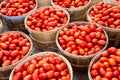 Many Roma tomatoes in baskets