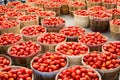 Many Roma tomatoes in baskets