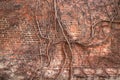 Many roots on old brick wall background Royalty Free Stock Photo