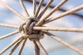 Many ropes and one big knot close up