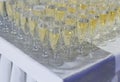 Many rows of glasses of wine and champagne Royalty Free Stock Photo