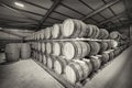 Many rows of traditional full whisky barrels, set down to mature, in a large warehouse facility, with acute perspective Royalty Free Stock Photo