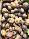 Many Rutabaga Vegetable Bulbs For Sale in Shop Royalty Free Stock Photo