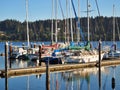 Sailboats moored in harbor Florence Oregon Pacific Coast Siuslaw River with reflections in the water