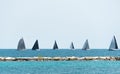 Many sailboats sailing in a Michigan Lake Royalty Free Stock Photo