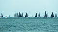 Many sailboats sailing in a Michigan Lake Royalty Free Stock Photo