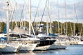 Many sailing boats and fast boats anchored in marina in Adriaic sea Royalty Free Stock Photo