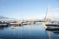 Many sailing boats and fast boats anchored in marina in Adriaic sea Royalty Free Stock Photo