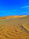 Many of sand dunes on desert of Algeria Royalty Free Stock Photo
