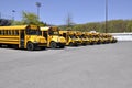 Many school buses Royalty Free Stock Photo