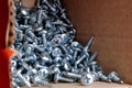 Many screws close up in box