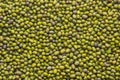 Many seeds of mung bean (may be used as background)