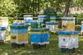 Many set of wooden beehive in the spring garden in the apiary to collect honey. Row of colorful beehives on a small enclosed area Royalty Free Stock Photo