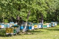 Many set of wooden beehive in the spring garden in the apiary to collect honey. Row of colorful beehives on a small enclosed area Royalty Free Stock Photo