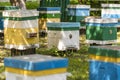 Many set of wooden beehive in the spring garden in the apiary to collect honey. Row of colorful beehives on a small enclosed area Royalty Free Stock Photo