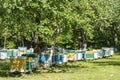 Many set of wooden beehive in the spring garden in the apiary to collect honey. Row of colorful beehives on a small enclosed area Royalty Free Stock Photo