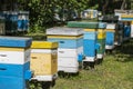 Many set of wooden beehive in the spring garden in the apiary to collect honey. Row of colorful beehives on a small enclosed area Royalty Free Stock Photo