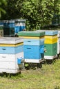 Many set of wooden beehive in the spring garden in the apiary to collect honey. Row of colorful beehives on a small enclosed area Royalty Free Stock Photo