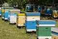 Many set of wooden beehive in the spring garden in the apiary to collect honey. Row of colorful beehives on a small enclosed area Royalty Free Stock Photo