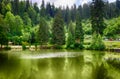 Many shades of green in lake Bergsee and Black forest in Triberg, Germany Royalty Free Stock Photo