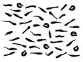 Many shiny black leeches, isolated