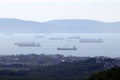 Many ships standing at anchor in harbour. General cargo ships, tankers and others.