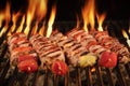 Many Shish Kebab On The BBQ Flaming Charcoal Grill