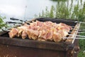 Many Shish Kebab From Different Meat With Pepper