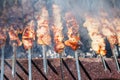 Many shish kebab skewers preparing on grill