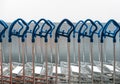 Many shopping carts in a row Royalty Free Stock Photo