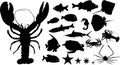 Many silhouettes of water animals