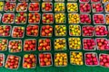 Many Colorful Cherry Tomatoes for sale at a Farmers Market Royalty Free Stock Photo