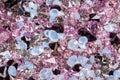 Many small diamond jewel stones, luxury background close-up Royalty Free Stock Photo