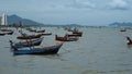 Many small fishing boats