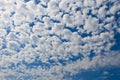 Many small fluffy clouds in blue sky Royalty Free Stock Photo