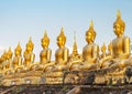 Many small,golden Buddha statues at Wat Phousalao,hilltop temple,reflecting sunset light,overlooking Mekong River,Pakse,southern Royalty Free Stock Photo