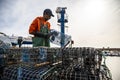 Many of the small green crabs are in the basket in the harbor by Atlantic Ocean. Fishermen use crabs as a bait for octopuses