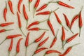 Many small hot red chili peppers close-up throw in random order on a natural hessian textile background