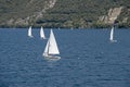 Many small sailboats sail on Lake Lago di Garda