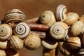 Many small snails with brown and light-colored snail shells hang on the handle of a wicker basket against a brown background Royalty Free Stock Photo