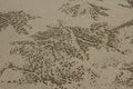 Many small stone sand on the beach crab markings Royalty Free Stock Photo