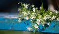 Many small wildflowers on blue bench